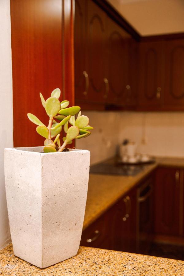Oasis Zante Apartment Eksteriør bilde